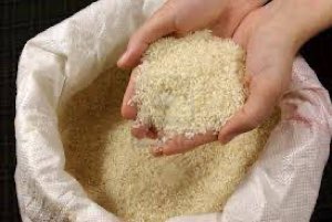 RIZ THAÏLANDE , PAKISTAN. INDE