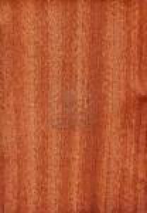 sapelli