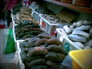 Dried sea cucumber Dried sea cucumber