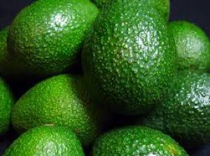 Avocats Avocats