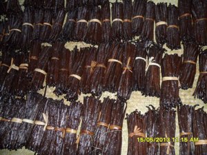 Vanille bourbon de madagascar