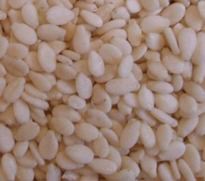 sesame