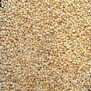 Sesame