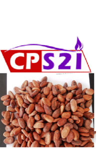 CACAO /COCOA 