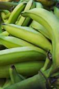 Banane plantain Banane plantain
