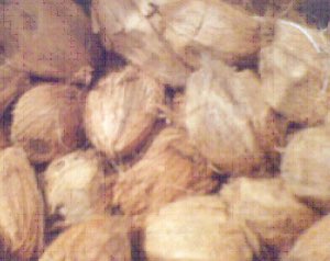Noix de coco