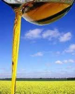 Crude degummed rapeseed oil