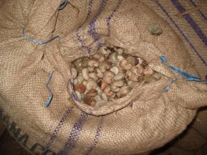 noix de cajou