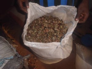 noix de cajou