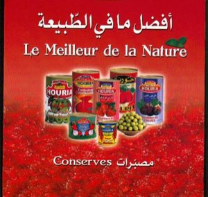 CONSERVES