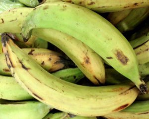 Banane plantain