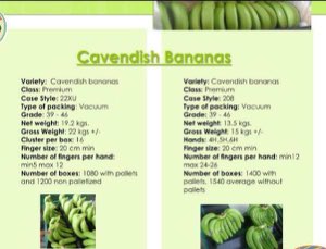 Banane de l equateur Banane de l equateur