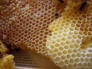 La cire d'abeille 