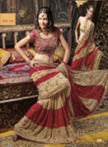 Tenue Indienne-Sari