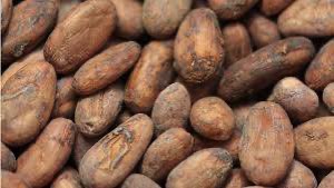 café-cacao