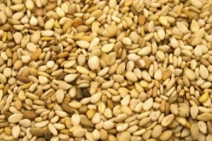 SESAME 