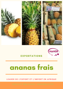 Ananas bio a l'exportation. Ananas bio a l'exportation.