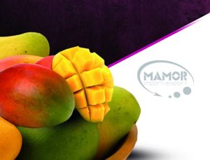 La mangue de burkinafaso La mangue de burkinafaso
