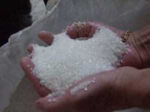 Sucre raffiné icumsa-45