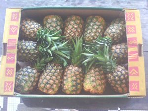 Ananas frais Ananas frais