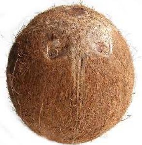 NOIX DE COCO