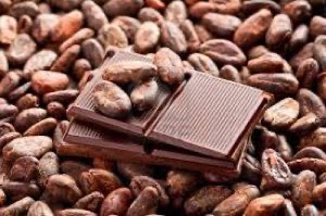 Fevre de cacao - cocoa beans Fevre de cacao - cocoa beans