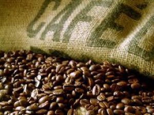 Café (Coffe) Robusta - R2 S13
