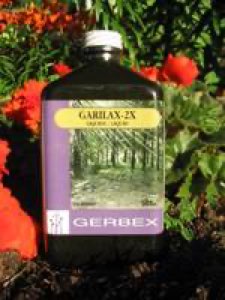 Garilax 2x Garilax 2x