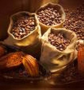 CACAO