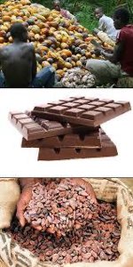 Cacao Cacao