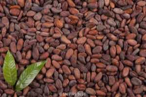 CACAO