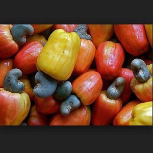vente de noix de cajou brute