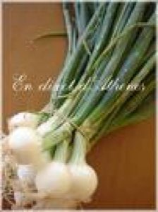 oignon vert