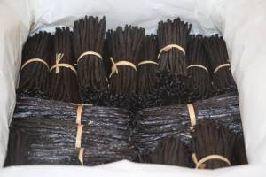 Madagascar vanilla beans 
