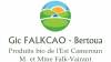 FALKCAO