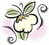Gunun Guli Ltd.