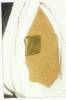 metalornegoce