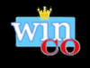 WINCO CI