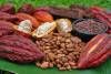 societe cooperative agricole 
