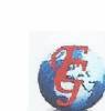 FIELCOM INTERNATIONAL