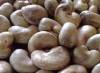 AGRICOM SARL