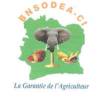 BNSODEA