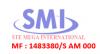 mega international